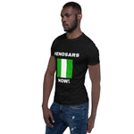 #EndSars Now T-Shirt